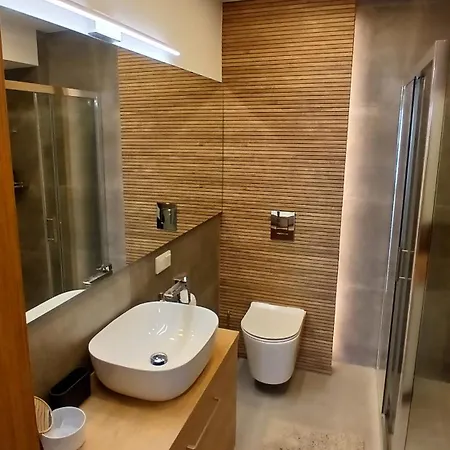 公寓 Polanka 新塔尔格