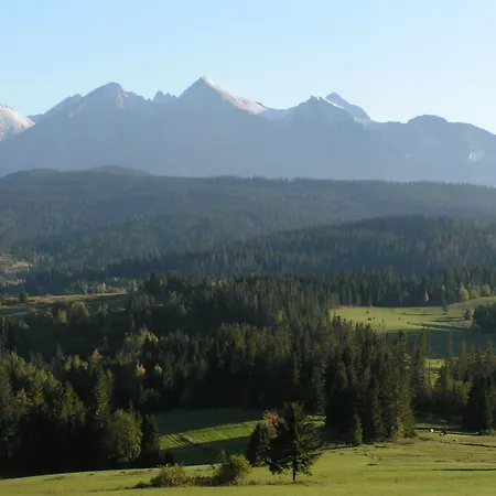 Polanka 新塔尔格